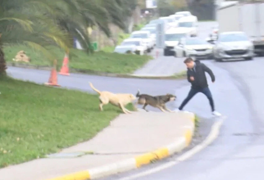 AK Parti'de 30 Ocak hazırlığı:  Beyanname her kesimi kapsayacak