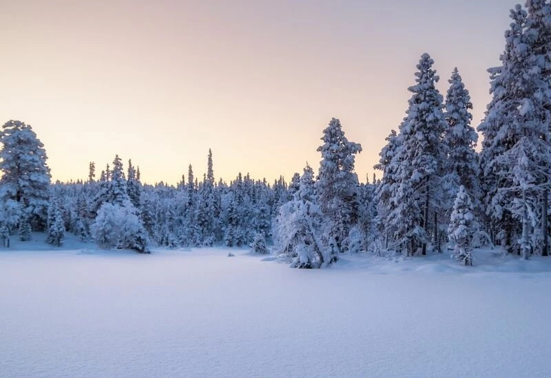 Doğu Anadolu Bölgesi'nde yaşayanlar dikkat! Meteoroloji'den kritik uyarı geldi