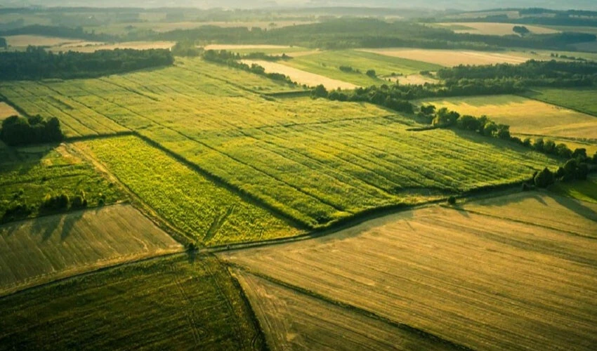 Arsa satışları konutu geçti, gurbetçiden yoğun talep geldi