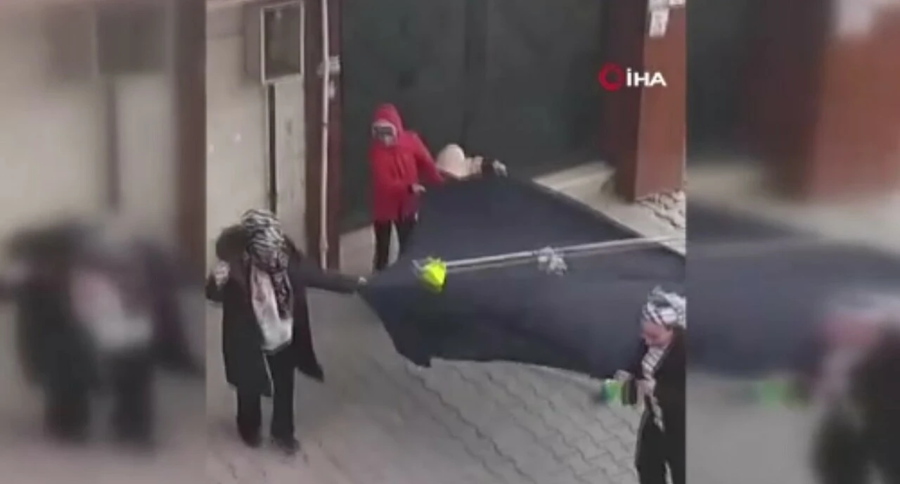 Başakşehir'de güldüren kedi kurtarma operasyonu: Bir fırça, bir örtü...