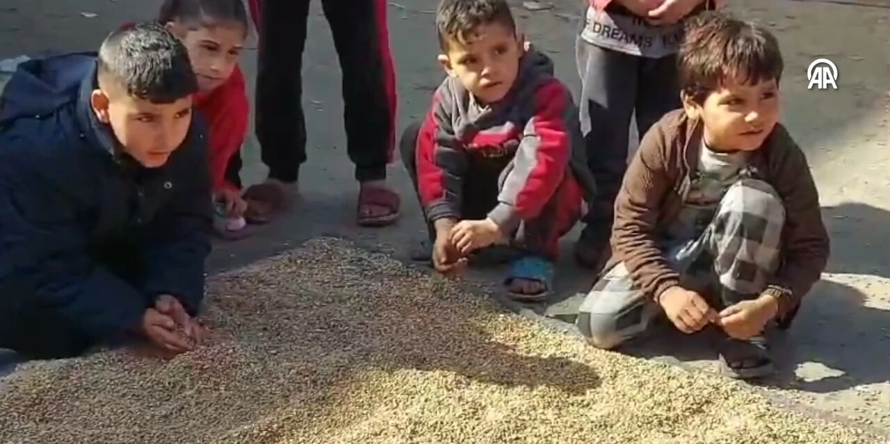 Ekmek bulamayan Gazzeliler hayvan yemini öğütmeye başladı