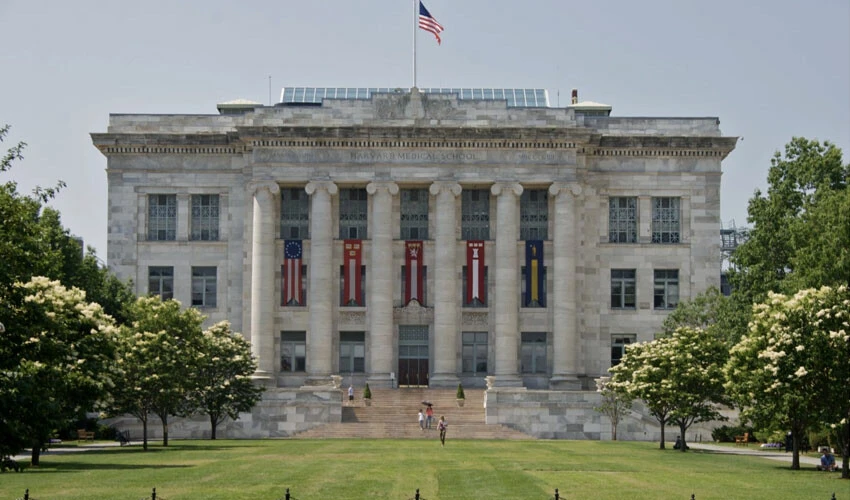 İnsan etleri deriye dönüştürüldü! Skandal kadavra hırsızlığının detayları dehşet