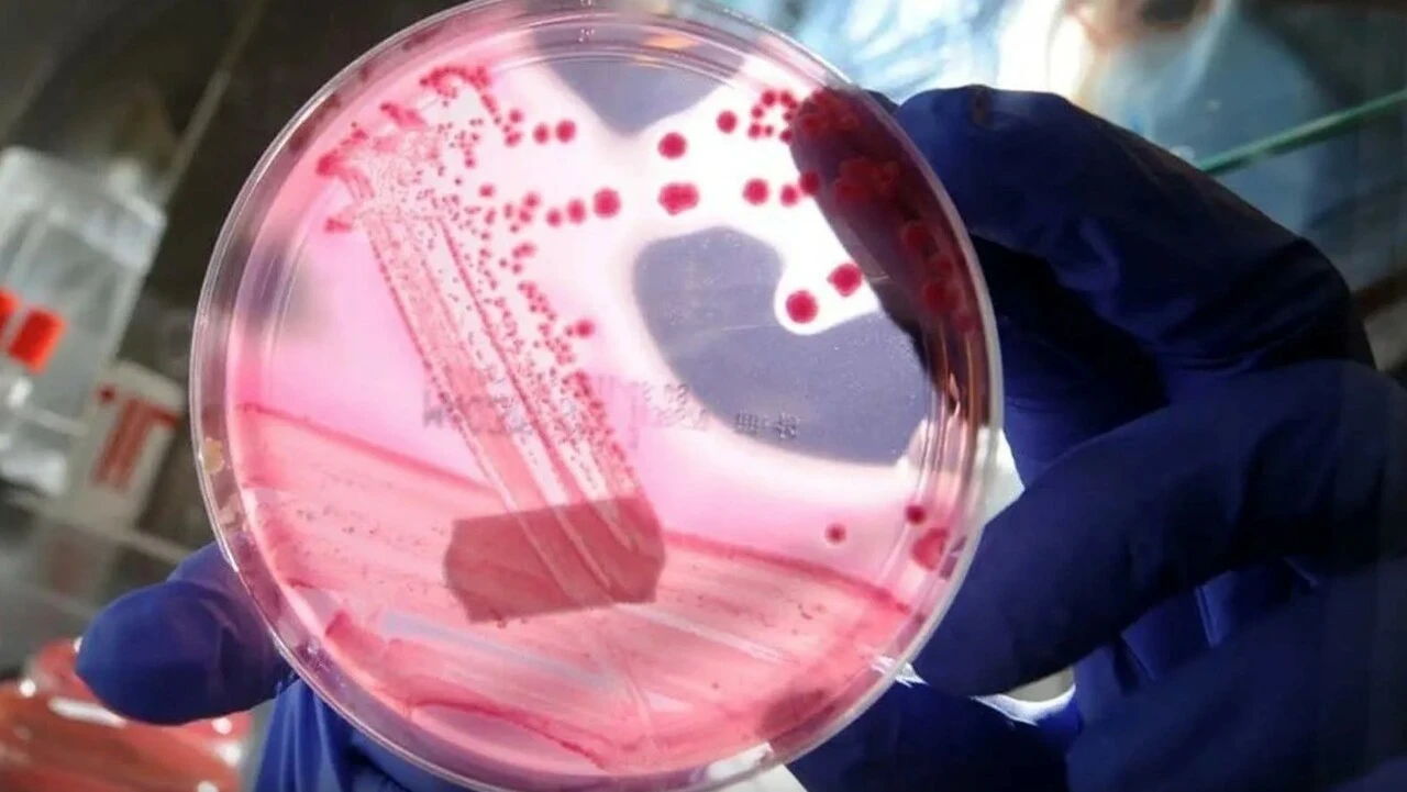 Küresel ısınma, 50 bin yıllık 'ölümü' ortaya çıkardı: Dünya yeni bir salgın tehlikesiyle karşı karşıya