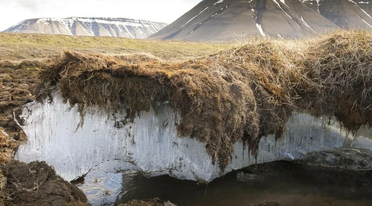 Küresel ısınma, 50 bin yıllık 'ölümü' ortaya çıkardı: Dünya yeni bir salgın tehlikesiyle karşı karşıya