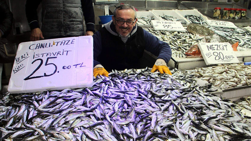 Karadeniz'de hamsinin yerini istavrit aldı