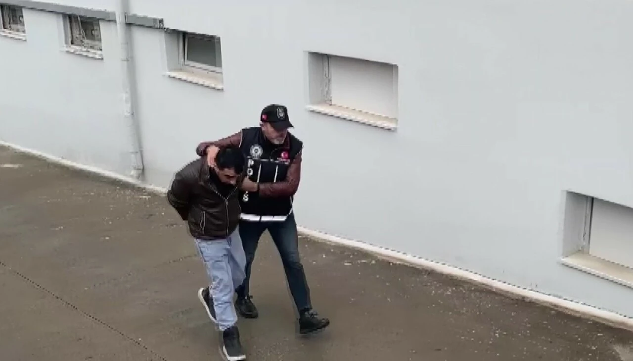 Adana'da baklava kutusuna gizlediler "Hulk" buldu