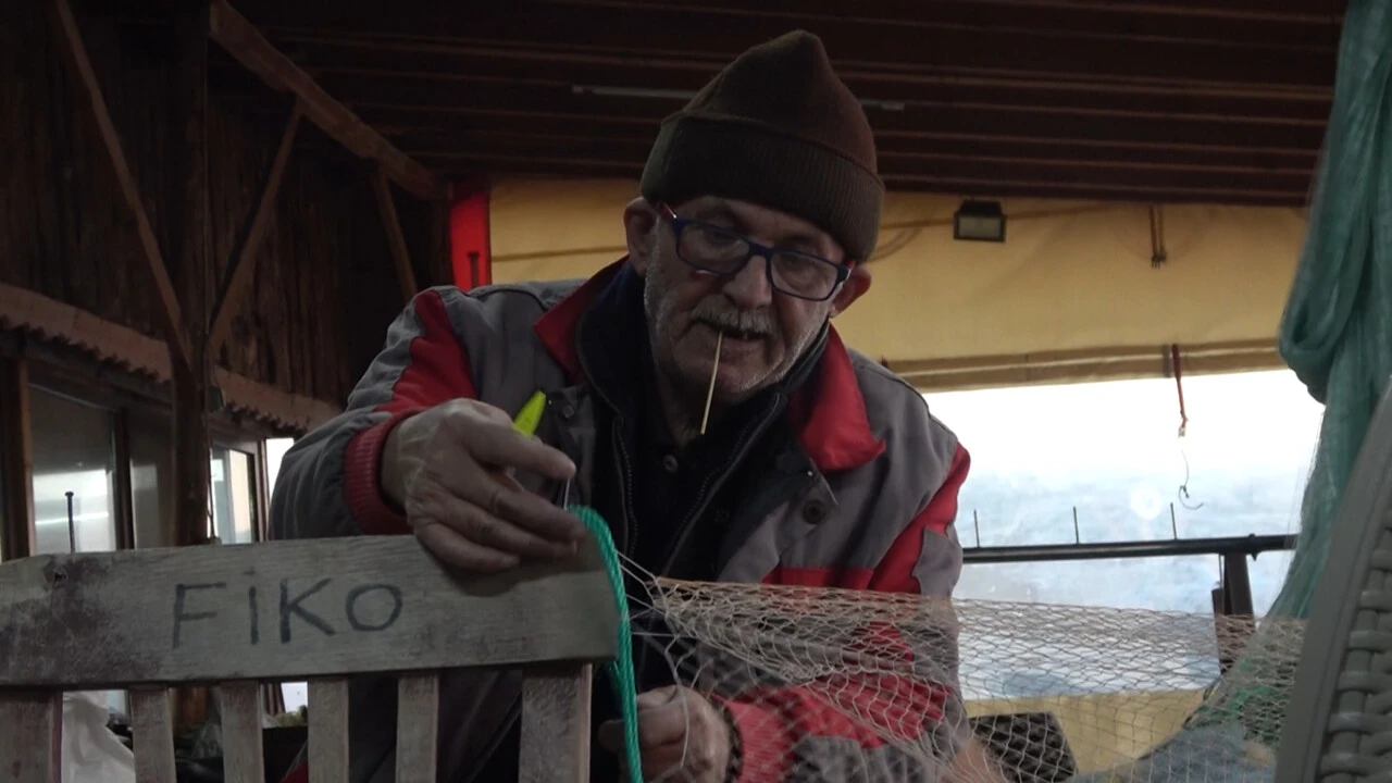 Marmara'da hamsi azalırken balıkçılar endişeli: Bir balon balığı eksikti!