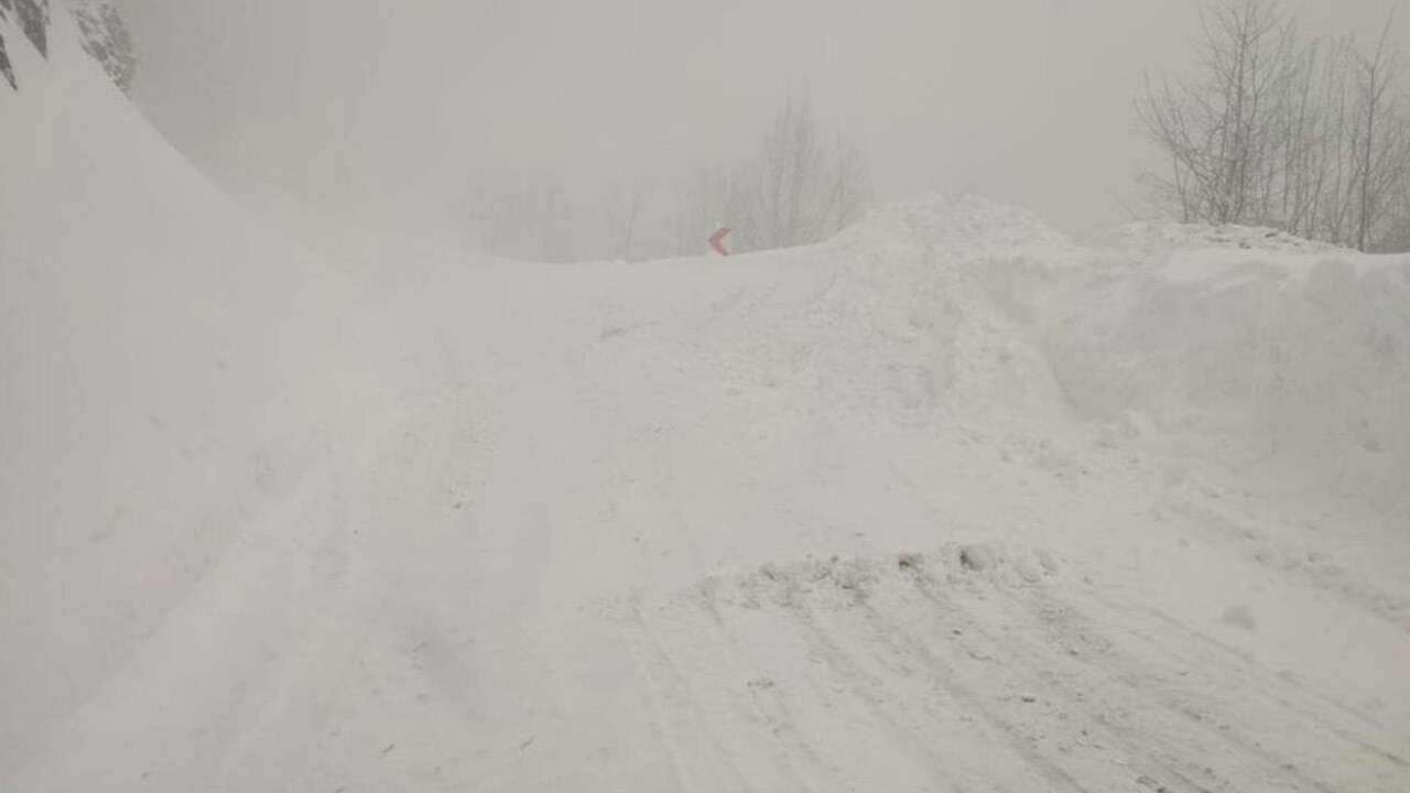 Ardahan-Artvin kara yoluna çığ düştü