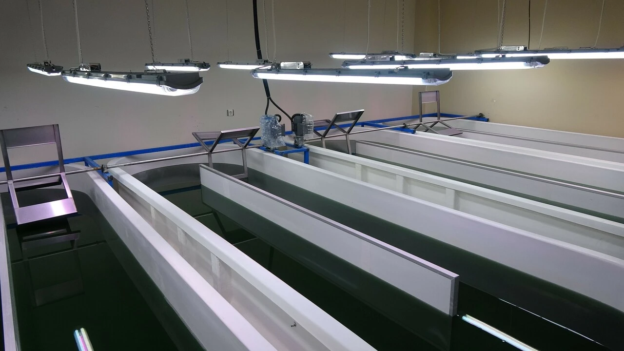 Türk bilim insanları üretimine başladı! 100 gramı bin liradan satılıyor