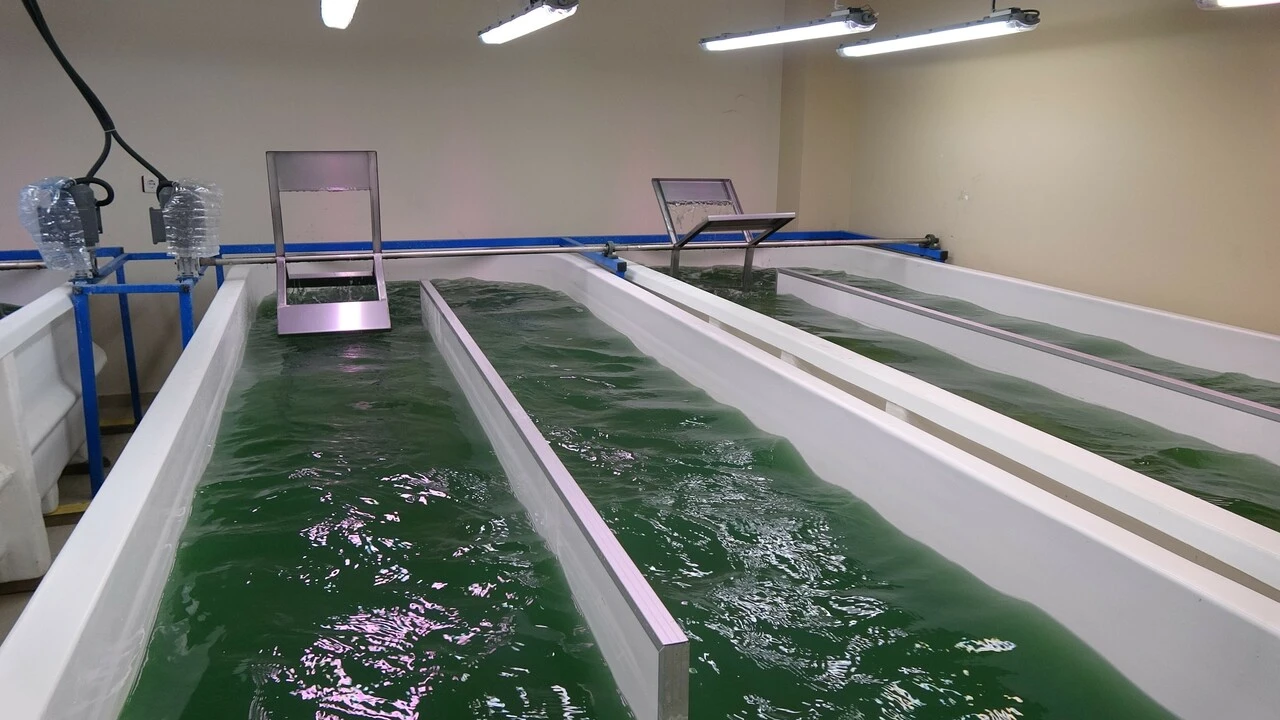 Türk bilim insanları üretimine başladı! 100 gramı bin liradan satılıyor