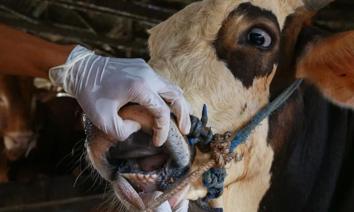 Bakan Yumaklı duyurdu: Ücret alınmadan uygulanacak