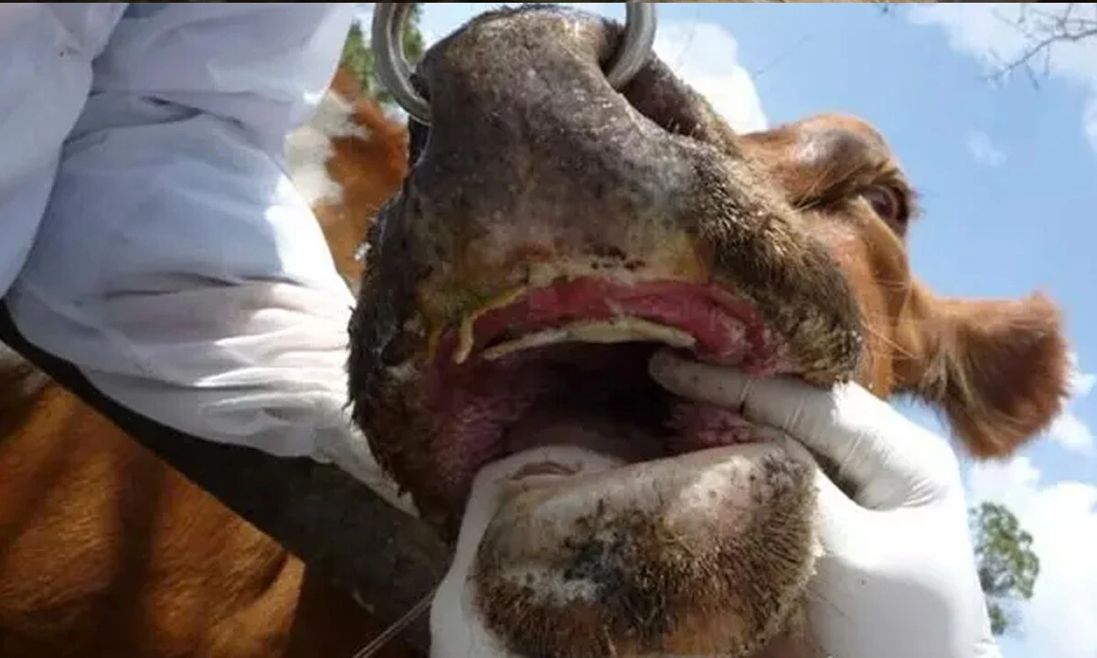 Bakan Yumaklı duyurdu: Ücret alınmadan uygulanacak