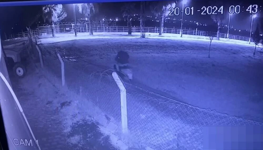 Polisin arabasına taşla saldırdı, kaçarken bir de not bıraktı