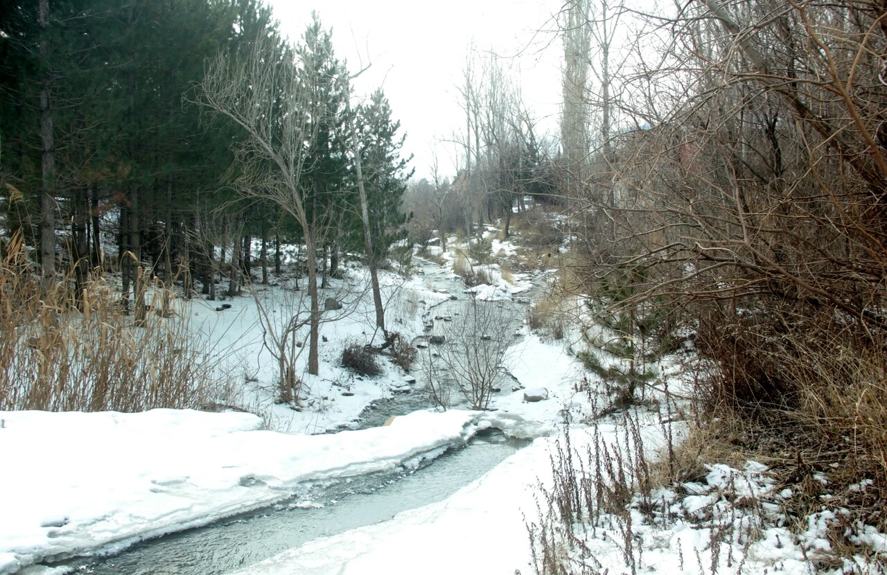 Erzincan'da dereler bile buz tuttu