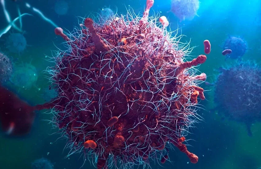 Araştırmacılar insanın ağzında keşfetti! Gizlendi ve daha önce görülmedi