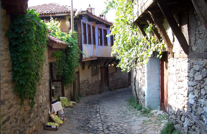 Tersine göç başladı, orta direk şehirden kaçıyor! İşte en çok tercih edilen 10 il