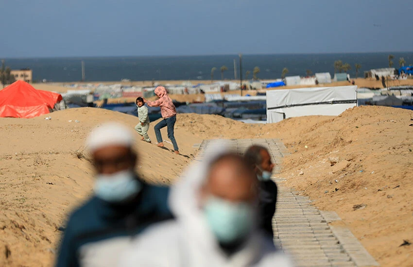 Filistin’de aç kalan hayvanlar cesetlere dadandı