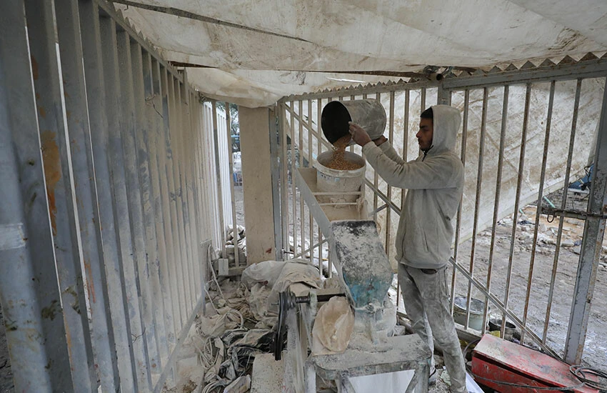 Filistin’de aç kalan hayvanlar cesetlere dadandı