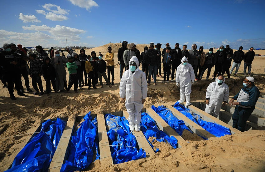 Filistin’de aç kalan hayvanlar cesetlere dadandı