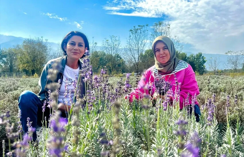 Tersine göç başladı, orta direk şehirden kaçıyor! İşte en çok tercih edilen 10 il