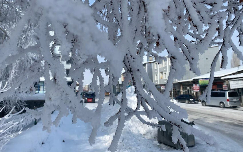 Doğu Anadolu buz tuttu! Termometreler eksi 31'i gösterdi