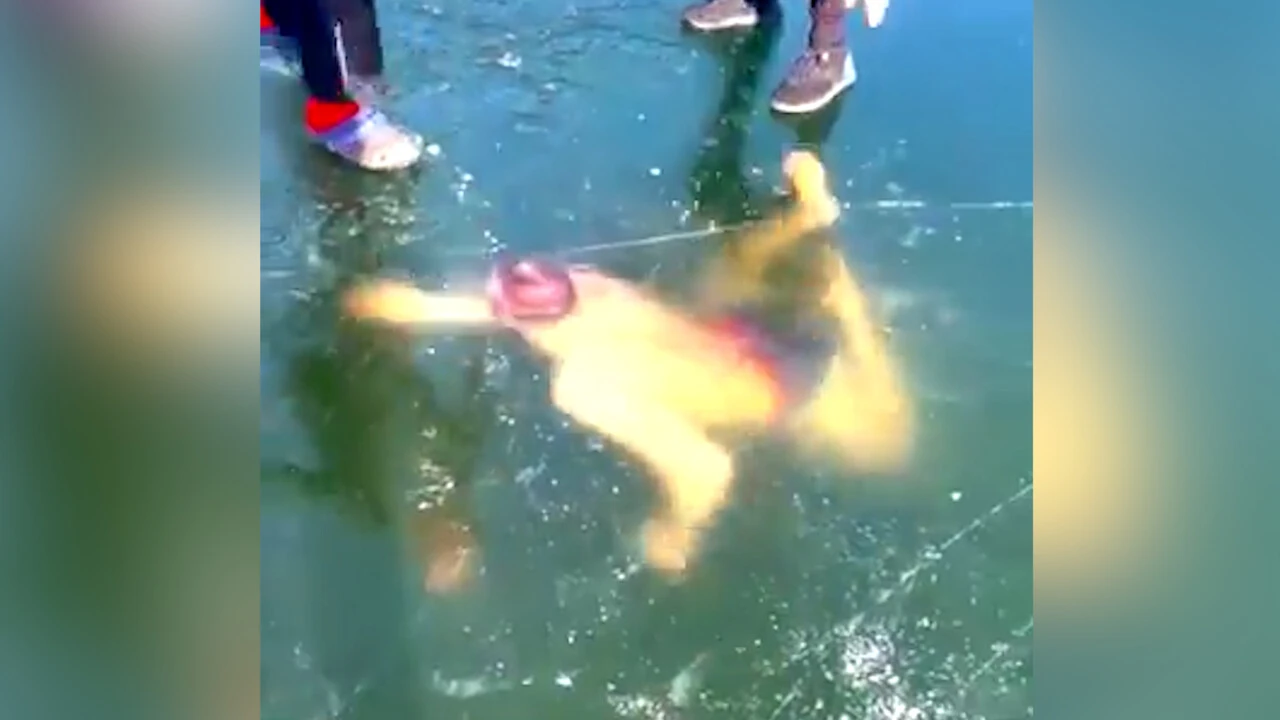 Slovak yüzücünün dehşete düşüren anları! Buz altında yönünü kaybetti