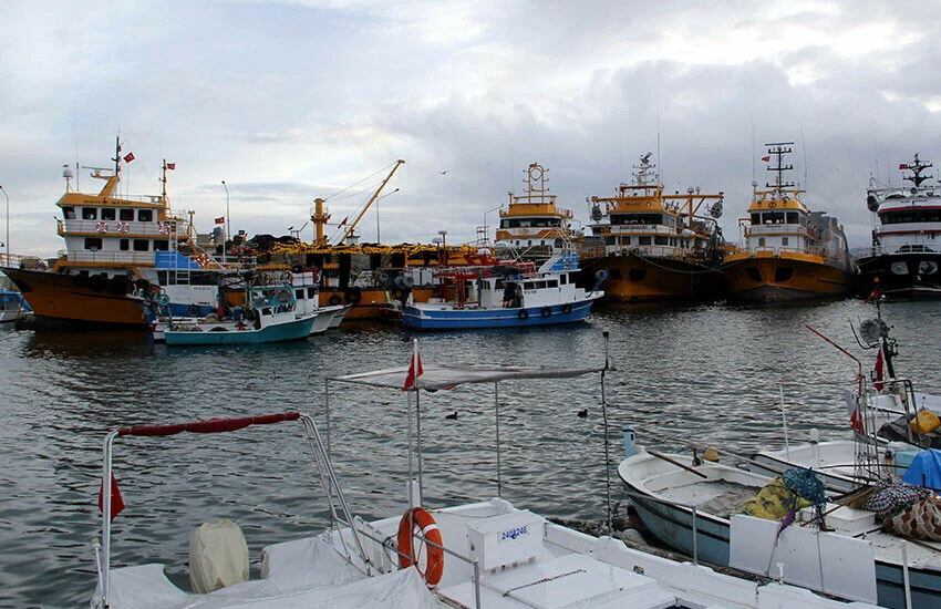 Balık severler şaşkına döndü! Balıklar açıklara kaçtı, av limiti düştü