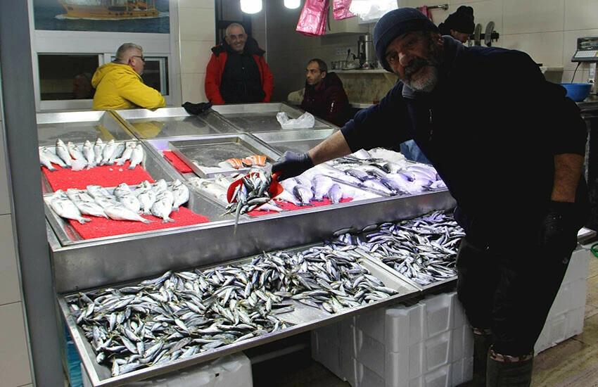 Balık severler şaşkına döndü! Balıklar açıklara kaçtı, av limiti düştü