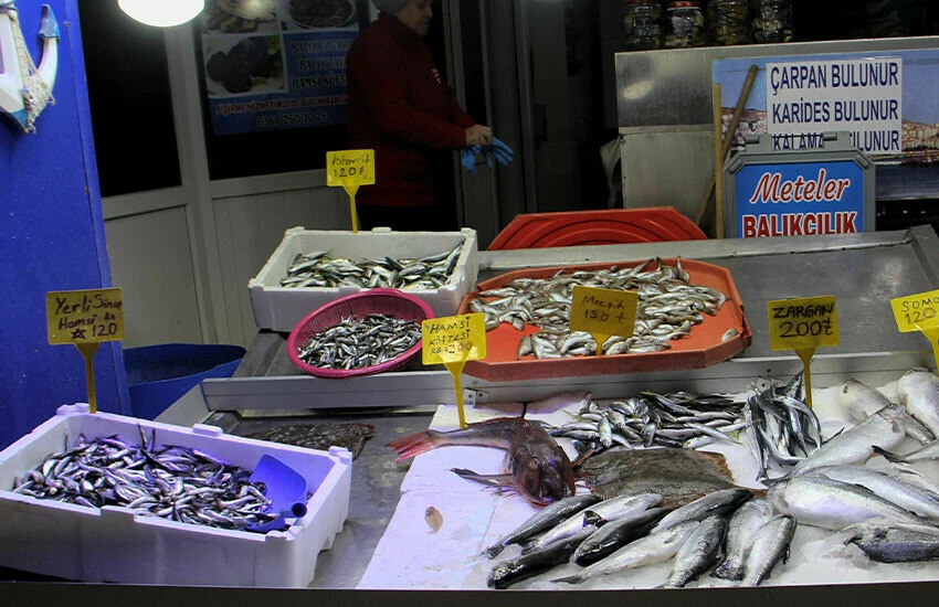 Balık severler şaşkına döndü! Balıklar açıklara kaçtı, av limiti düştü