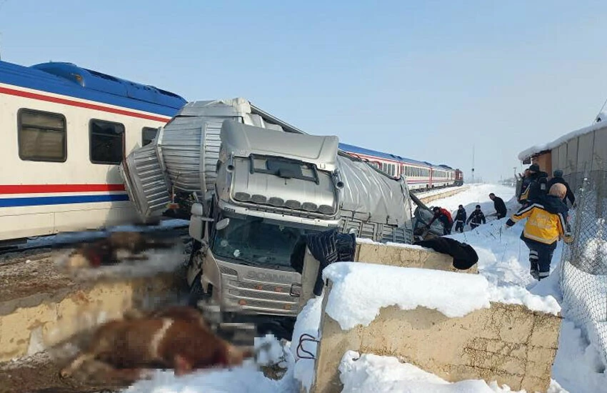 Hayvan yüklü tıra tren çarptı: Ölü ve yaralılar var - 1. Resim