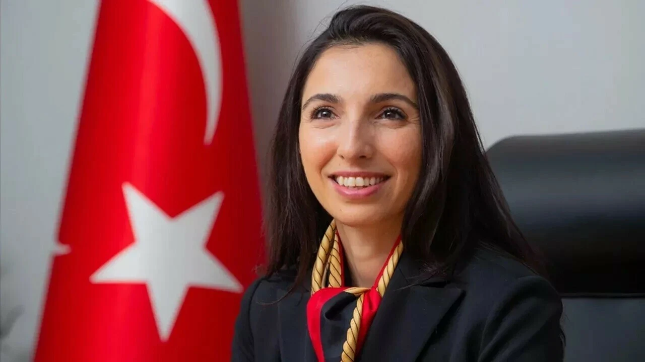 Merkez Bankası Başkanı Hafize Gaye Erkan istifa mı etti? Hafize Gaye Erkan neden istifa etti?