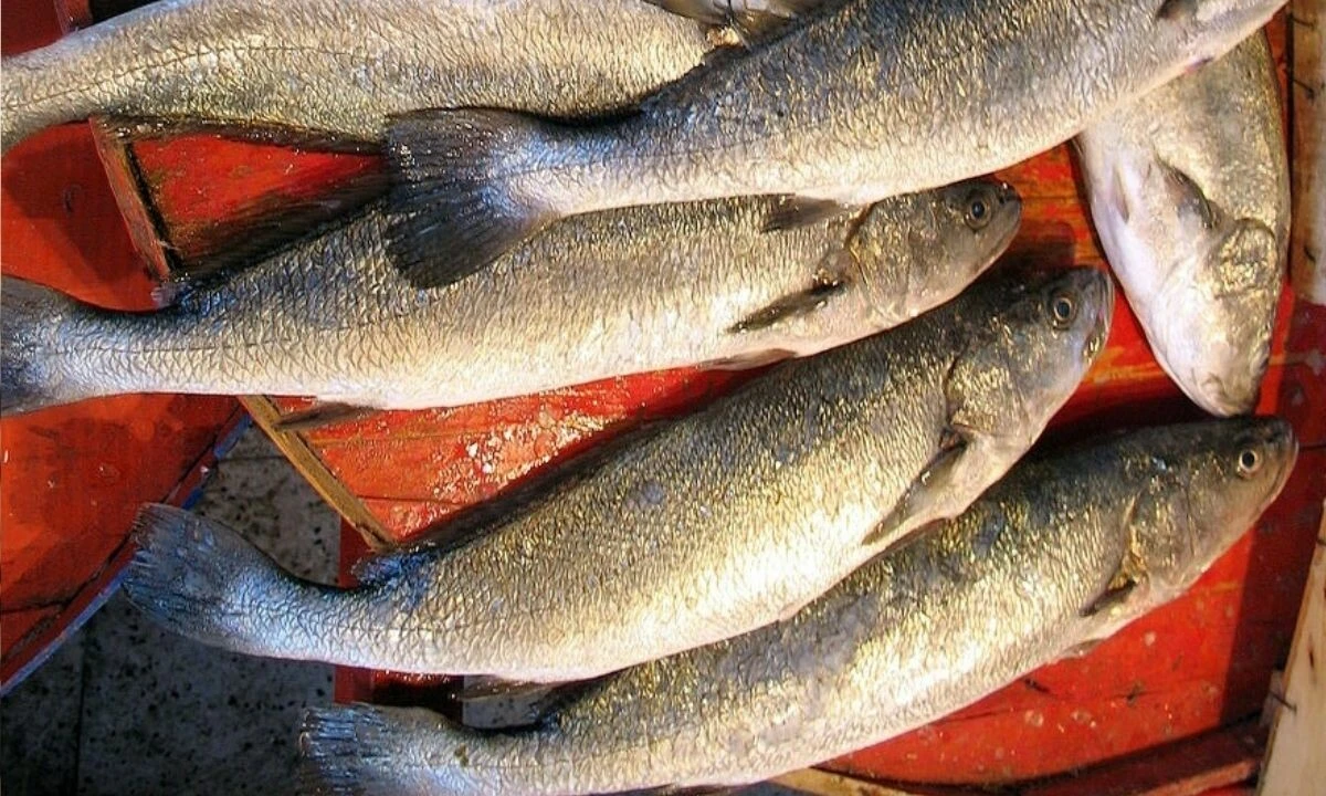 Fırtına balık tezgahını vurdu! Fiyatlar kırmızı eti geçti - 2. Resim