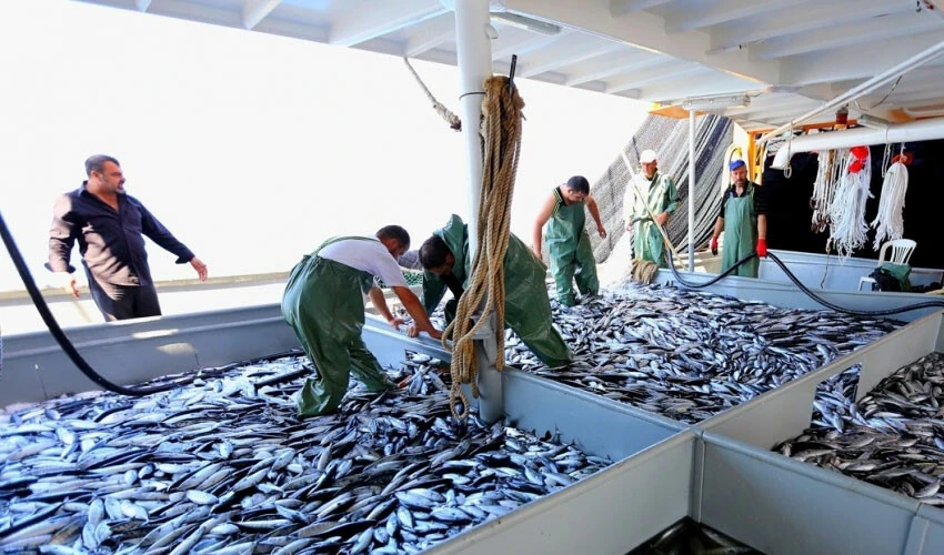 Tarıma milyarlarca liralık destek! Bakan Yumaklı kalem kalem açıkladı - 3. Resim