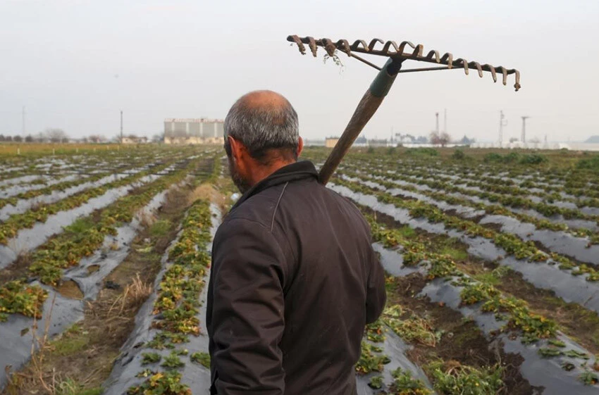 Hatay'ın yaraları bereketli topraklarıyla sarılacak - 4. Resim