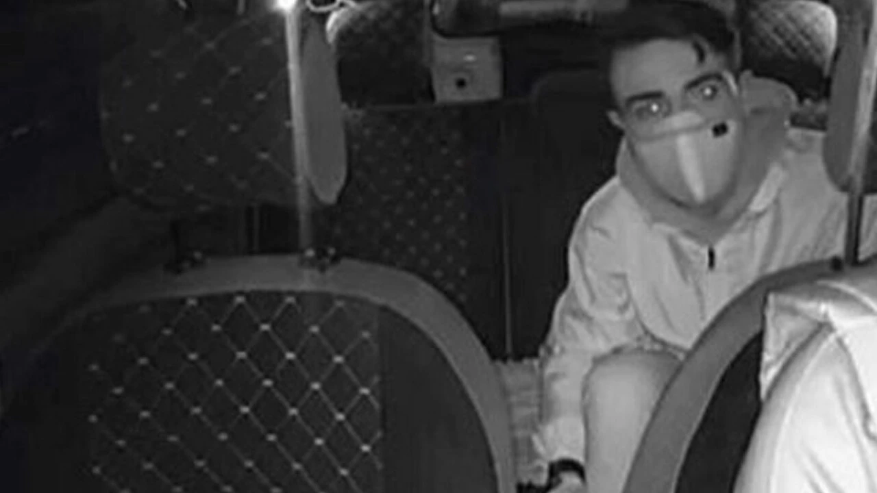 Taksici Oğuz Erge'yi öldüren Delil Aysal'ın yalan dolu ifadesi!