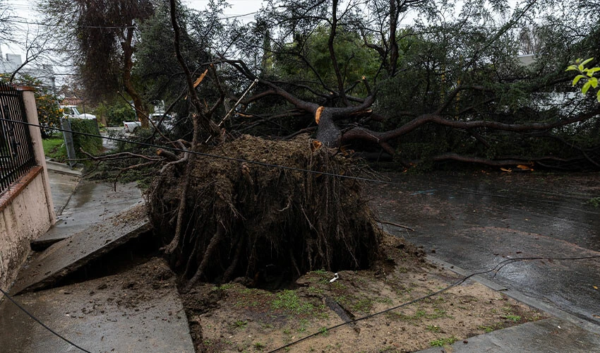 ABD şiddetli fırtınaya teslim oldu - 1. Resim
