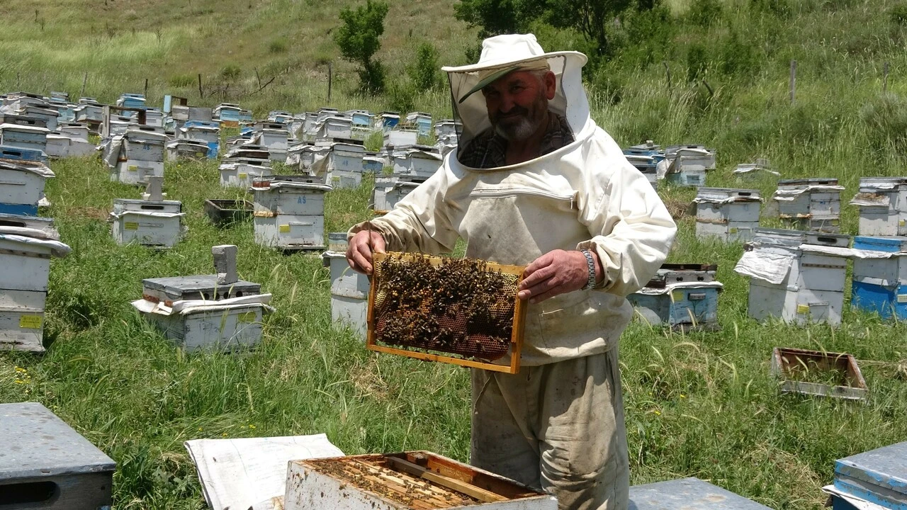 Akaryakıt zamları ve nakliye giderleri gezgin arıcıları etkiledi! - 2. Resim