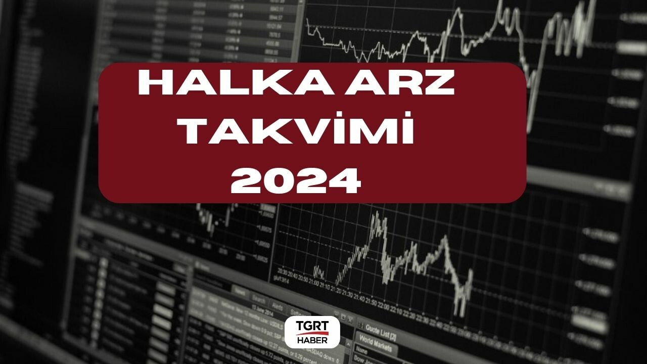 Bu hafta halka arz olacak şirketler neler? 2024 bu hafta halka arz var mı?