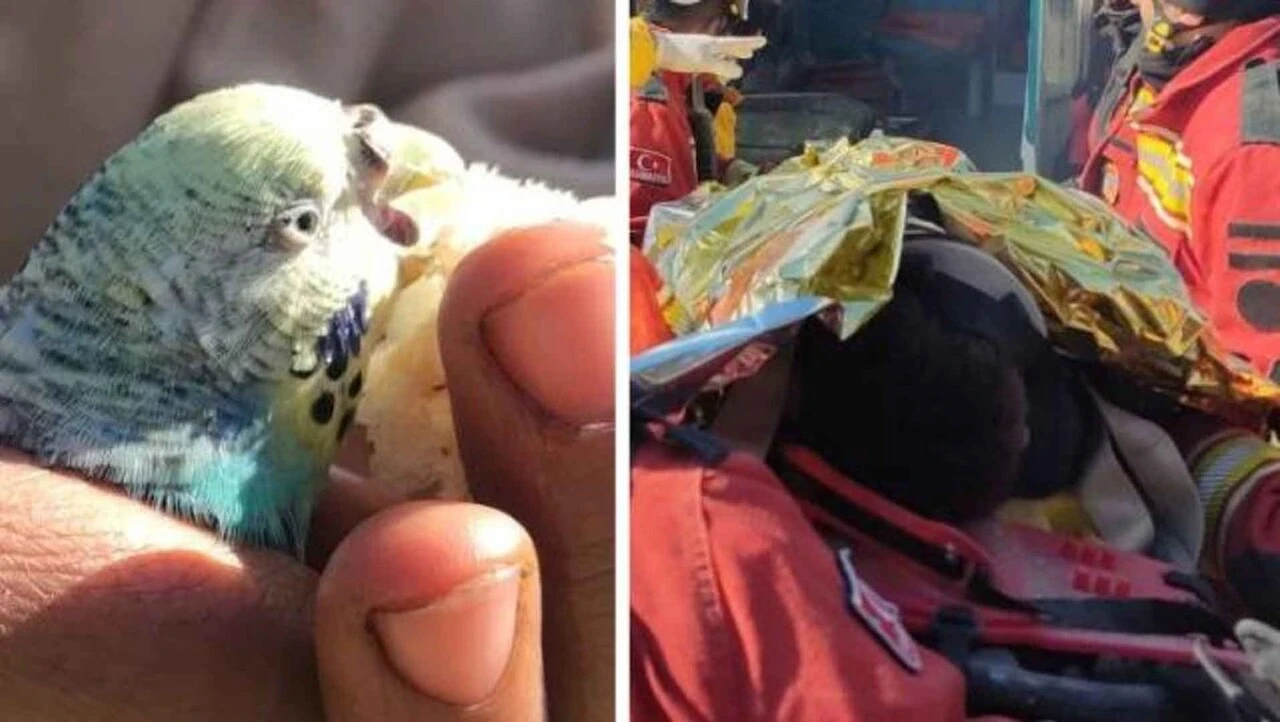 Depremin kalbi yakan enkaz sonrası çekilen unutulmayacak kareleri... - 8. Resim