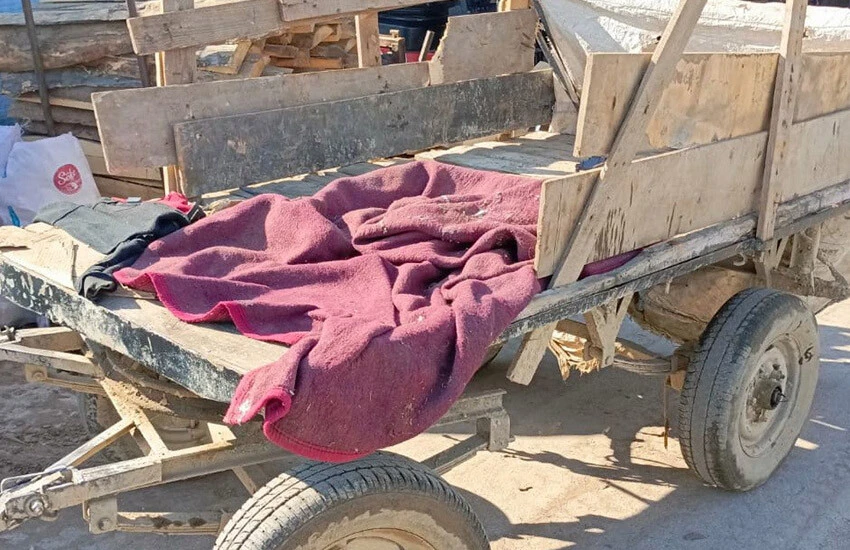 Manisa’da at arabası operasyonu - 1. Resim