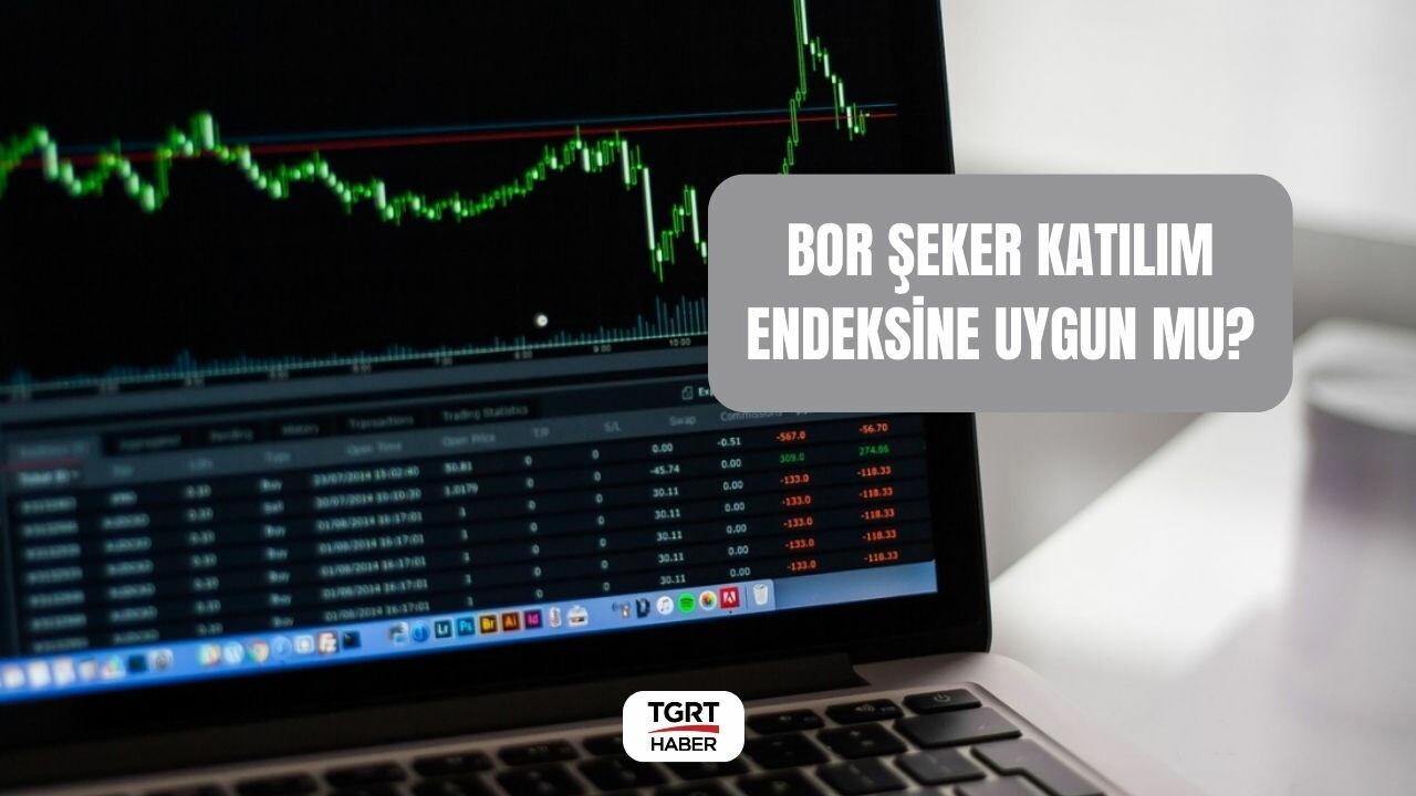 Bor şeker katılım endeksine uygun mu? BORSK ne zaman işlem görecek?