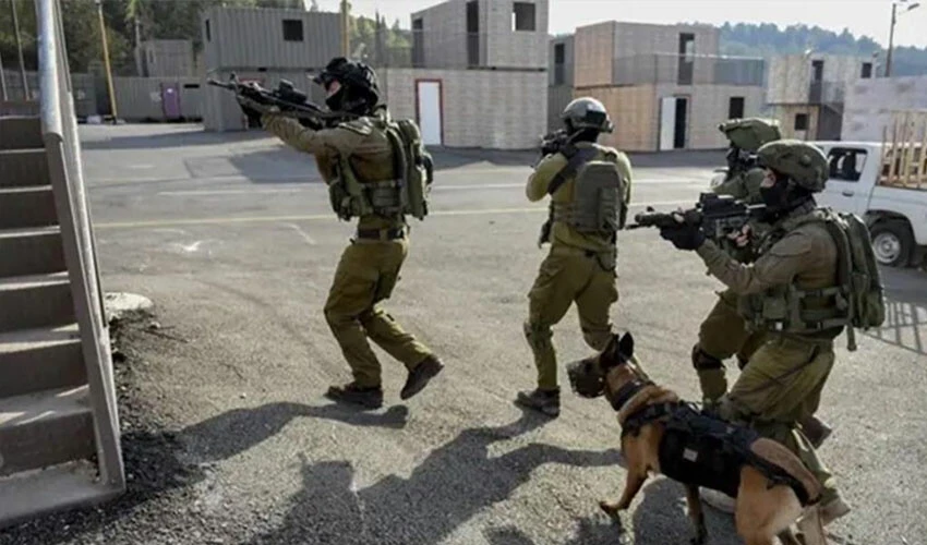 Gölge savaşının bir parçası 'köpek savaşı'