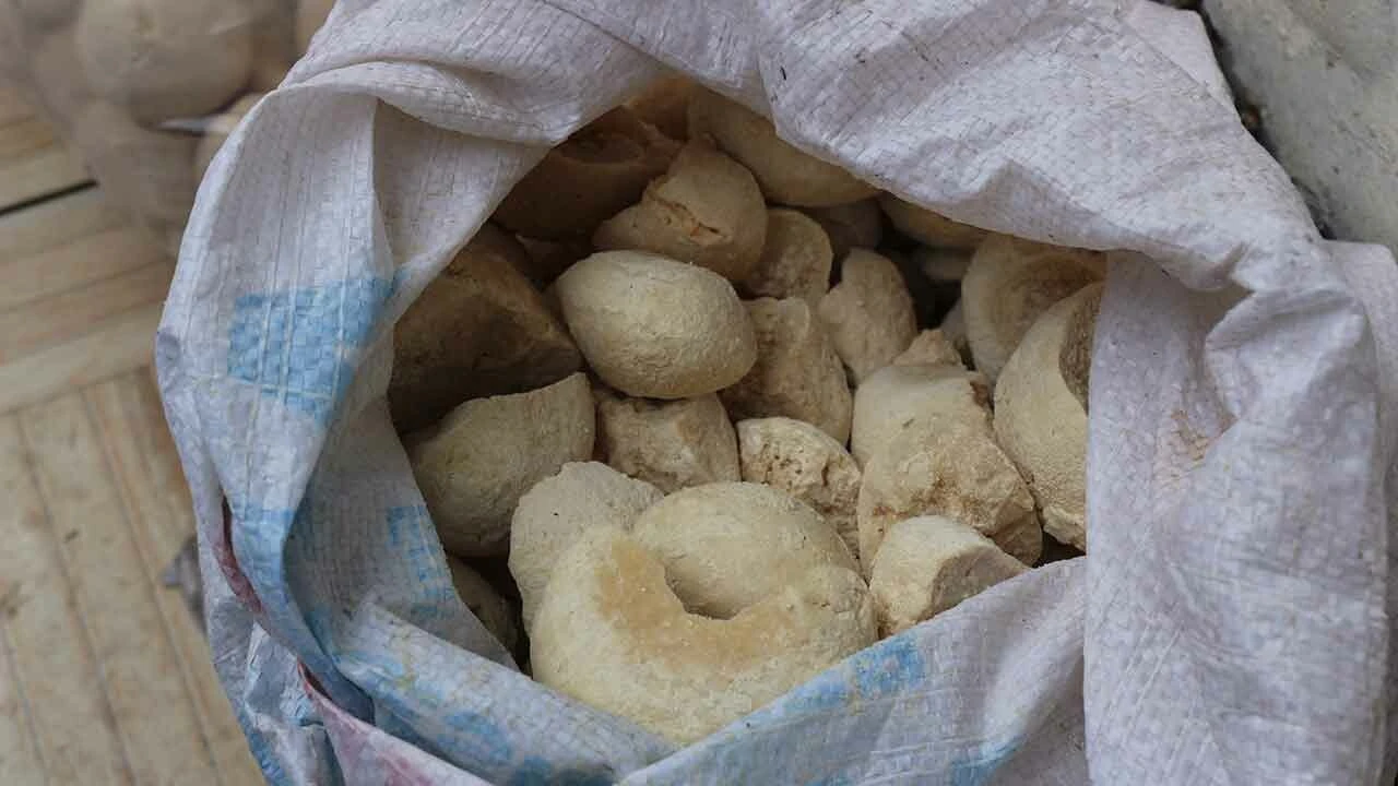 'Doğal antibiyotik' ama kimse bilmiyor! Kilosu 150 lira - 2. Resim