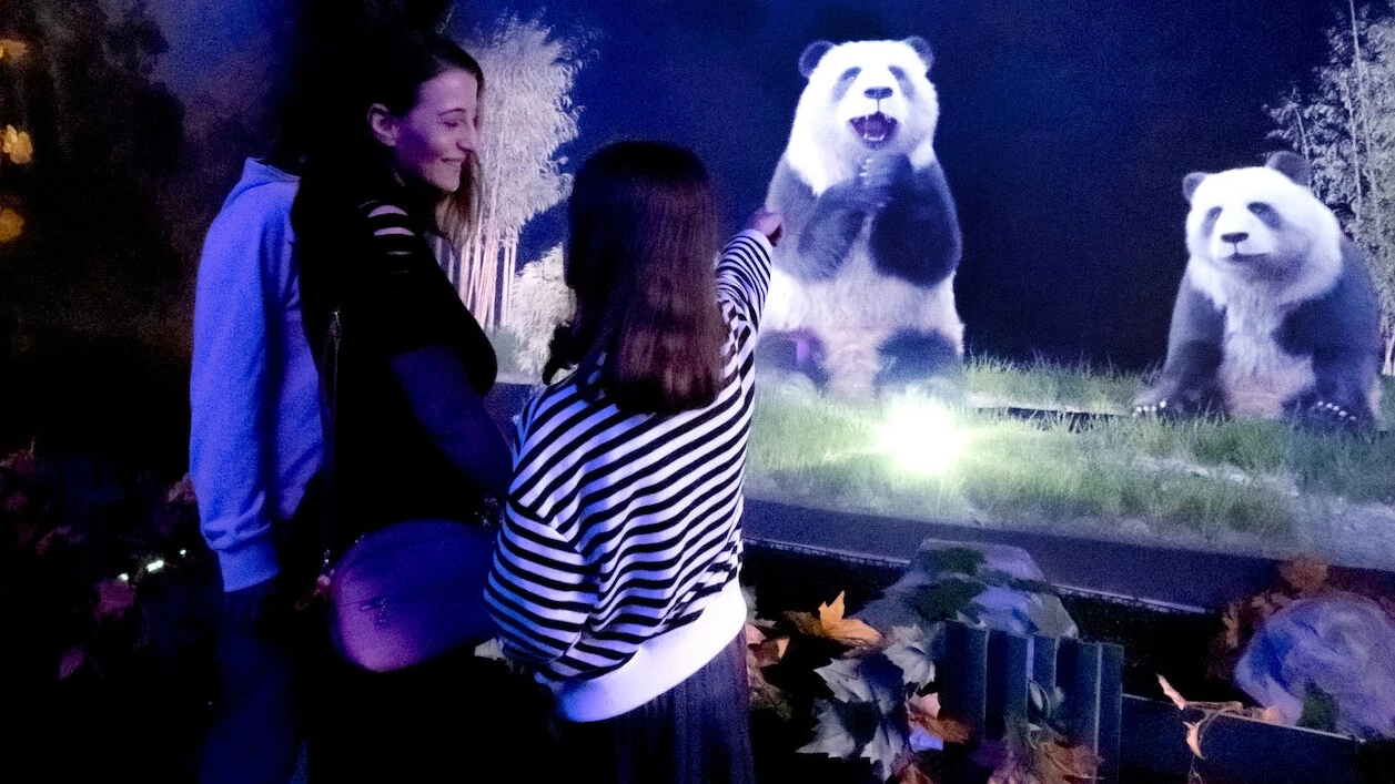 Dinozorlar, Türkiye’nin ilk holografik eğlence parkı DigiZoo’da hayat buluyor