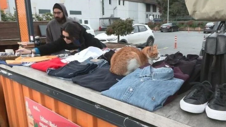 Nişantaşı eski sevgili pazarı nerede? Eski sevgiliden kalan eşyalar burada satılıyor! - 1. Resim