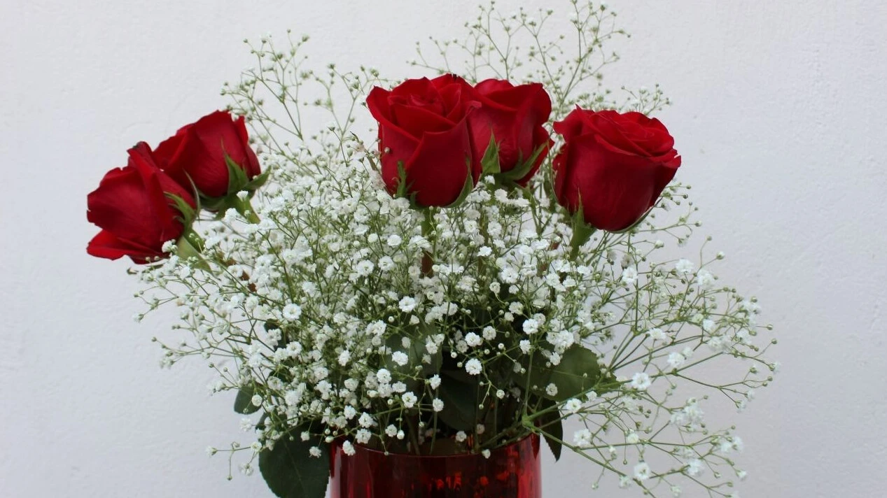 Sevgililer Günü'nde alınacak anlamlı çiçekler! Hangi çiçek hangi anlama gelir? Eşinize en özel ve anlamlı çiçeği seçin - 4. Resim