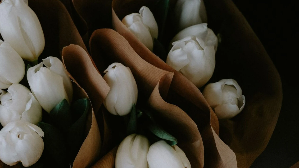 Sevgililer Günü'nde alınacak anlamlı çiçekler! Hangi çiçek hangi anlama gelir? Eşinize en özel ve anlamlı çiçeği seçin - 5. Resim