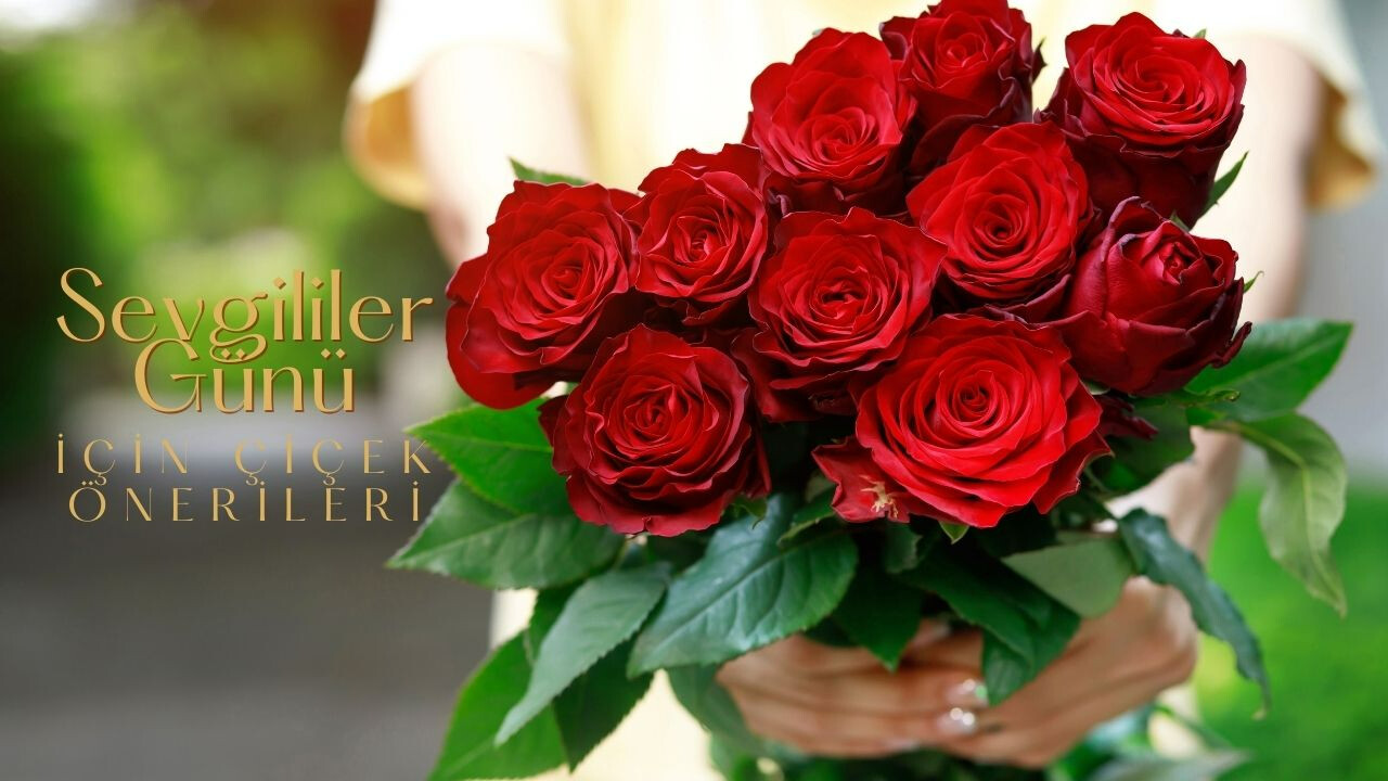 Sevgililer Günü&#039;nde alınacak anlamlı çiçekler! Hangi çiçek hangi anlama gelir? Eşinize en özel ve anlamlı çiçeği seçin