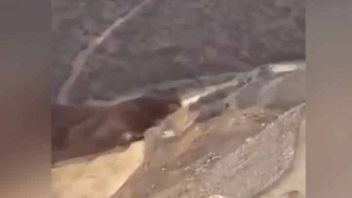 Siyanürlü solüsyon sebebiyle patlama mı oldu? SON DAKİKA! Erzincan altın maden kazası son durum nedir? - 1. Resim