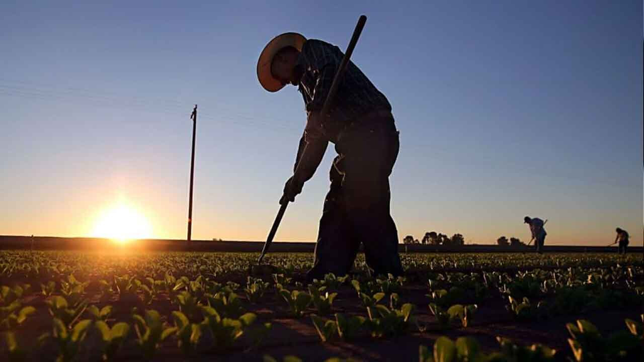 Tarım ve Orman Bakanlığı&#039;na 1500 işçi alınacak